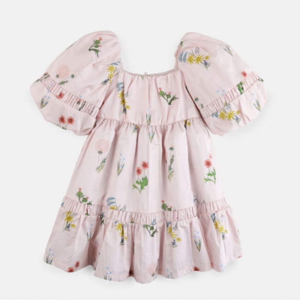 Gingersnaps Puff Sleeve Floral Dress